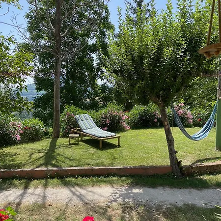 Casa Degli Ulivi *