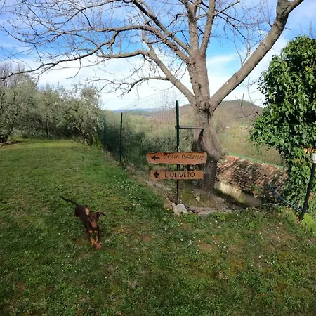 Casa Degli Ulivi * Civitella Del Tronto