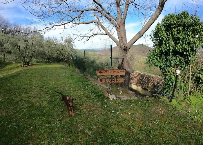 Casa Degli Ulivi * Civitella Del Tronto
